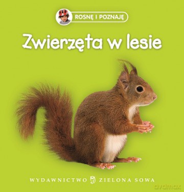 Zwierzęta w Lesie Rosnę i Poznaję (twarda) [KSIĄŻKA]