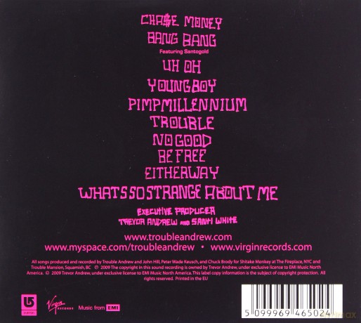 Trouble Andrew: Trouble Andrew [CD]