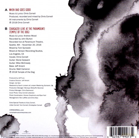 Chris Cornell: When Bad Does Good [Winyl]