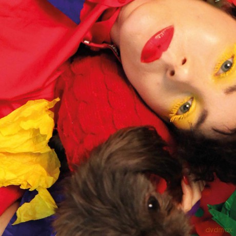 Ultraista: Ordinary Boy The Remixes [Winyl]