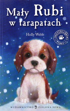 Mały Rubi w Tarapatach - Holly Webb [KSIĄŻKA]