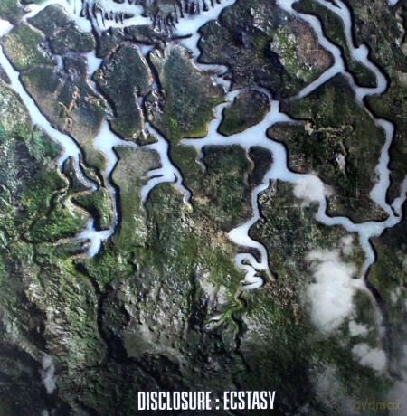 Disclosure: Ecstasy [Winyl]