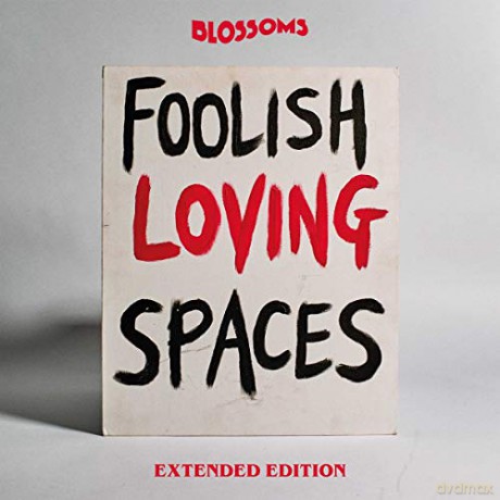 Blossoms: Foolish Loving Spaces (Extended) [2CD]