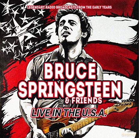 Bruce Springsteen: Live In The Usa [CD]