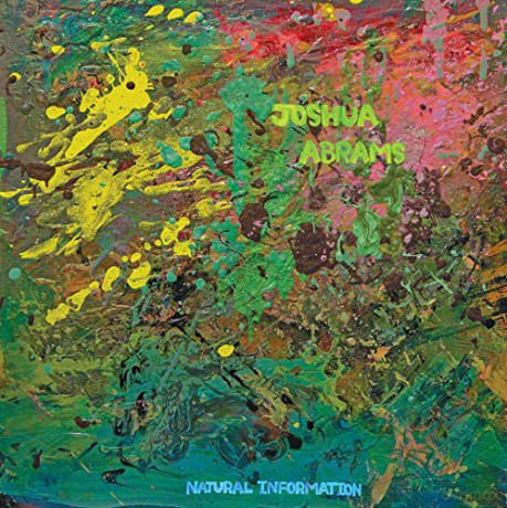 Joshua Abrams: Natural Information [Winyl]