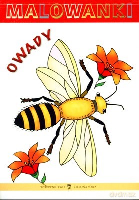 Malowanki Owady [KSIĄŻKA]