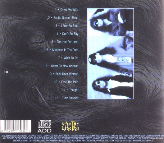 Southern Gentlemen: Exotic Dancer Blues [CD]