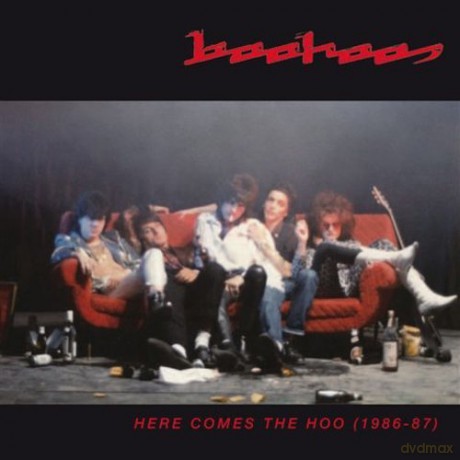 Boohoos: Here Comes The Hoo [CD]