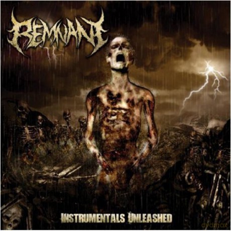 Remnant: Instrumentals Unleashed [CD]