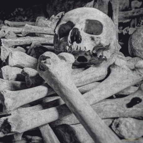 Encoffination: Necros Obscuritas [CD]