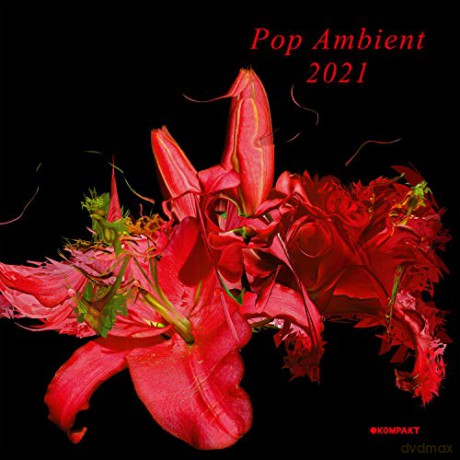 Pop Ambient 2021 [CD]