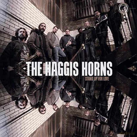 The Haggis Horns: Stand Up For Love [Winyl]