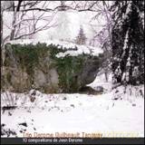 Jean Derome, Normand Guilbeault, Pierre Tanguay Trio: 10 Compositions by Jean Derome [CD]