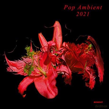 Pop Ambient 2021 [Winyl]