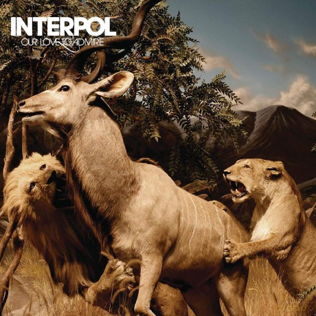 Interpol: Our Love To Admire (Limited) [Winyl]