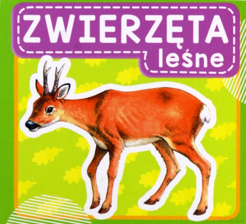 Zwierzęta leśne [KSIĄŻKA]