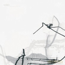 David Chiesa: Phonemes [CD]