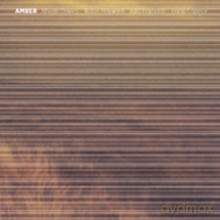 Rhodri Davies, Robin Hayward, Julia Eckhardt, Lucio Capece: Amber [CD]