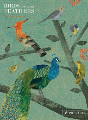 Birds and Their Feathers - Britta Teckentrup [KSIĄŻKA]