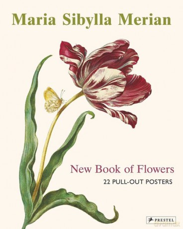 Maria Sibylla Merian - Stella Christiansen [KSIĄŻKA]