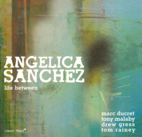 Angelica Sanchez, Marc Ducret, Tony Malaby, Drew Gress, Tom Rainey: Life Between [CD]