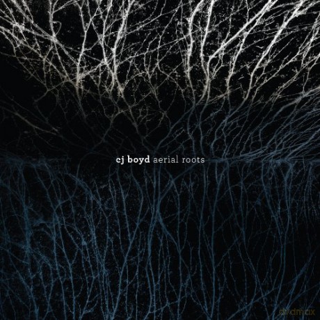 C.J. Boyd: Aerial Roots [CD]