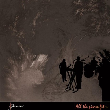 Tj James: All the Pieces Fit [CD]