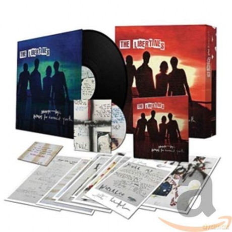 the Libertines: Anthems For Doomed Youth (Limited Boxset) [4CD]