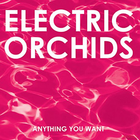 Electric Orchids: Anything You Want [CD]
