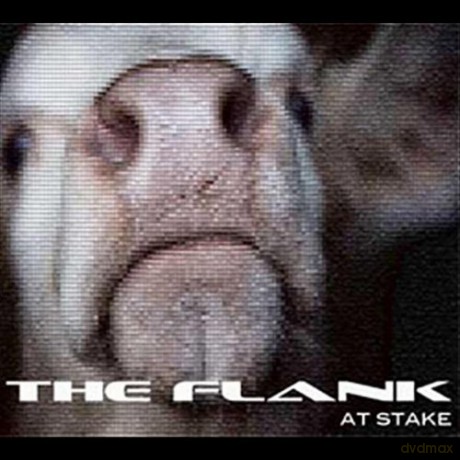 Flank: At Stake [CD]