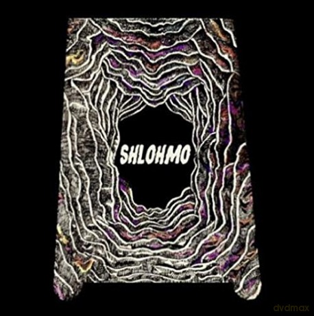 Shlohmo: Bad Vibes (Lp) (Musikkassette) [2CD]