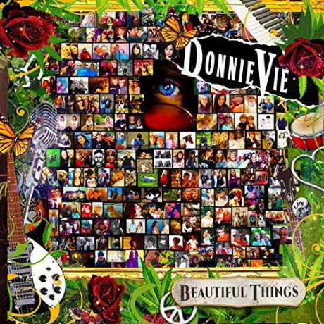Donnie Vie: Beautiful Things [CD]