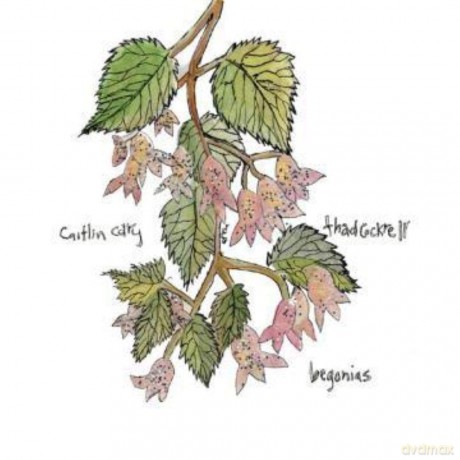 Caitlin Cary: Begonias [CD]