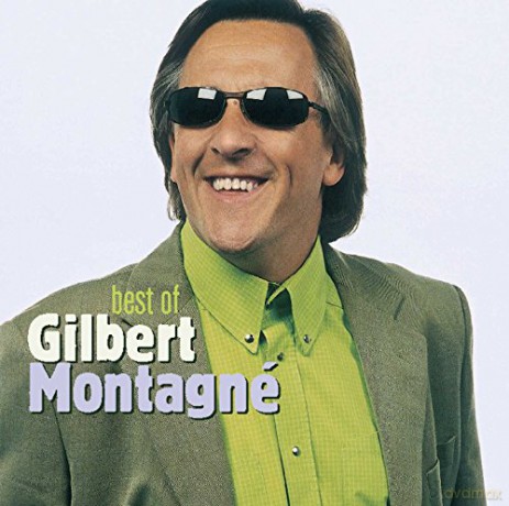 Gilbert Montagne: Best of Gilbert Montagne [CD]
