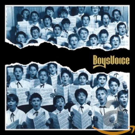 Boysvoice: Boysvoice [CD]