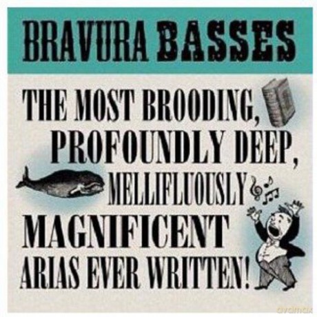 Bravura Basses: Bravura Basses [CD]
