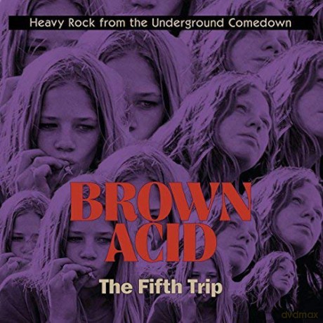 Brown Acid: the Fifth Trip [CD]