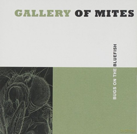 Gallery of Mites: Bugs on the Bluefish [CD]