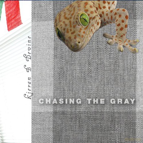 Kieran B. Devine: Chasing the Gray [CD]