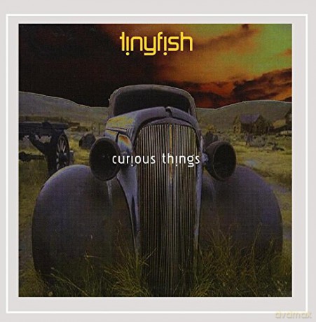 Tinyfish: Curious Things [CD]