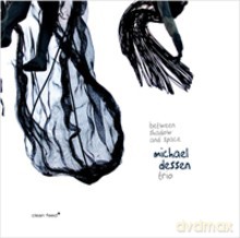 Michael Dessen Trio: Between Shadow and Space [CD]