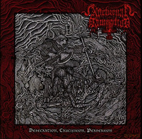 Desecration Crucifixion Perver [CD]