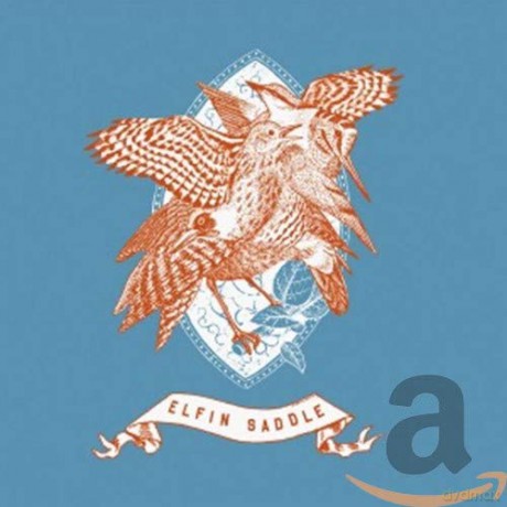 Elfin Saddle: Devastates [CD]