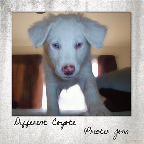 Prester John: Different Coyote [CD]