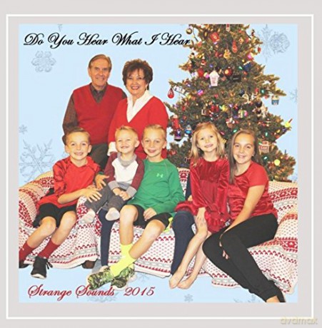 Strange Sounds: Do You Hear What I Hear [CD]