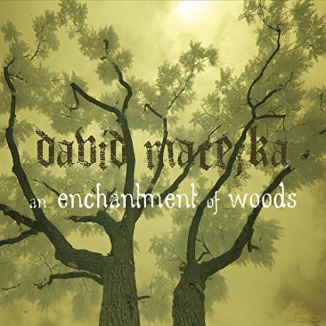 David Macejka: Enchantment of Woods [CD]