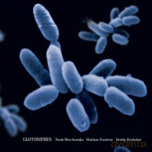 Nush Werchowska, Mathias Pontevia, Heddy Boubaker: Glotosifres [CD]