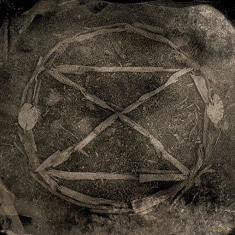 Common Eider: Extinction [CD]