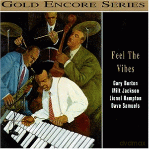 Feel the Vibes [CD]