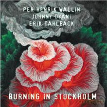 Per Henrik Wallin: Burning In Stockholm [CD]